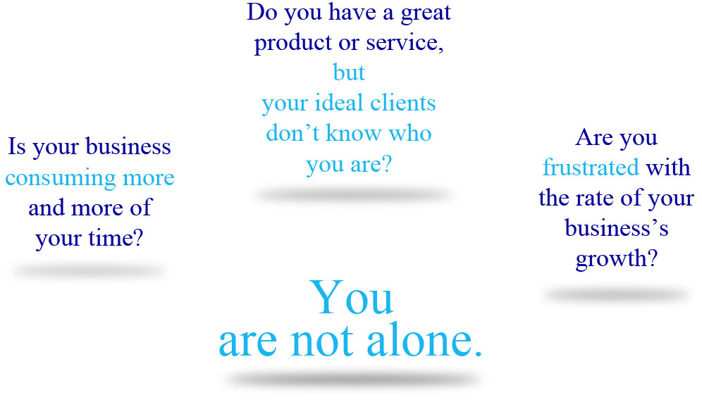 Do you have a great product or service, but your ideal clients don't know who you are? Is your business consuming more and more of your time? Are you frustrated with the rate of your business's growth? You are not alone.